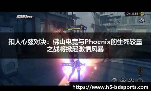 bob半岛体育官网